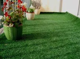 Artificial Grass Carpet