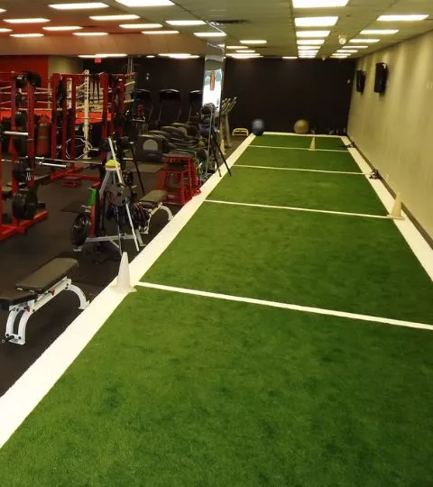 Best gym Turf