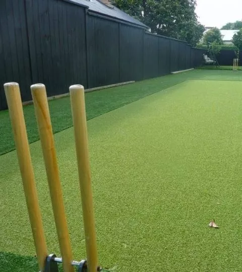 Cricket Turf