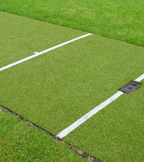 Dubai Cricket Turf