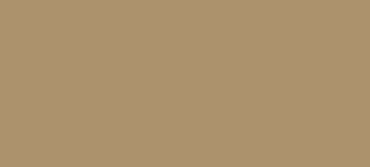 Rectangular Shape Solid Color for Section Background - Simple and clean design for website section background.