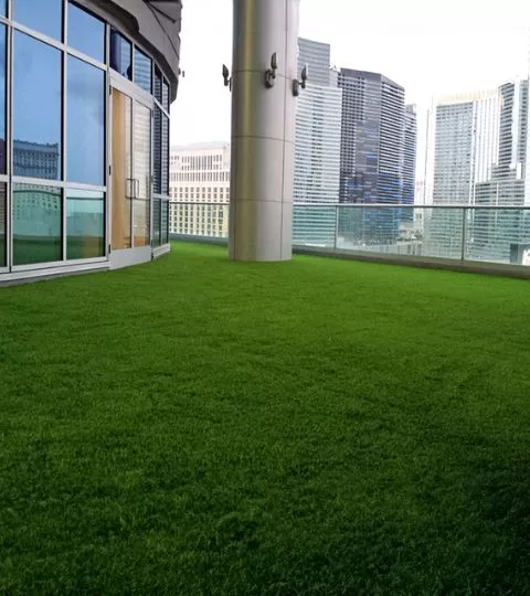 Rooftop Turf UAE