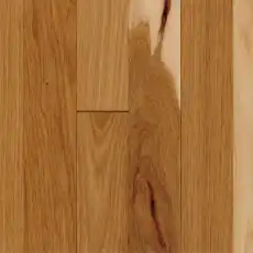 Walnut 008