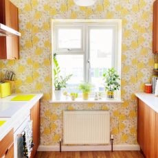 Cheery Kitchen Renovation