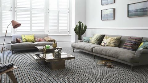 Living Room Carpets